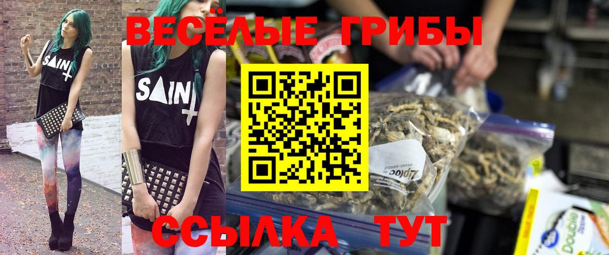 Псилоцибиновые грибы Psilocybine cubensis  Вход с VPN  Кировск 