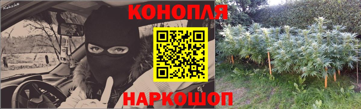 Марихуана семена  Шишки марихуана Bruce Banner  Кировск  Вход с VPN  Каннабис ГИДРОПОН  Марихуана White Widow 